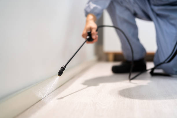 Professional exterminator conducting IPM assessment in Muskogee