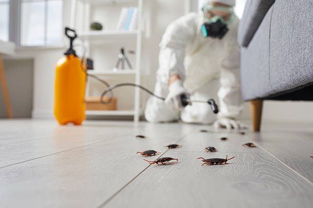 Commercial Kitchen Cockroach Control in Muskogee